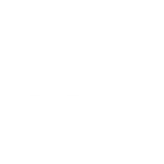 Transporte Terrestre